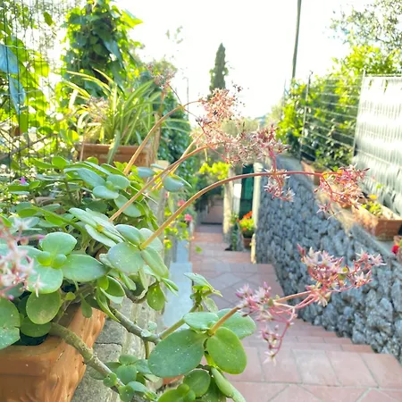 Bed & Breakfast La Ciammurrella *