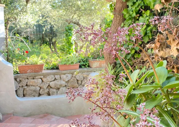 Bed & Breakfast La Ciammurrella Anacapri (Isola di Capri)