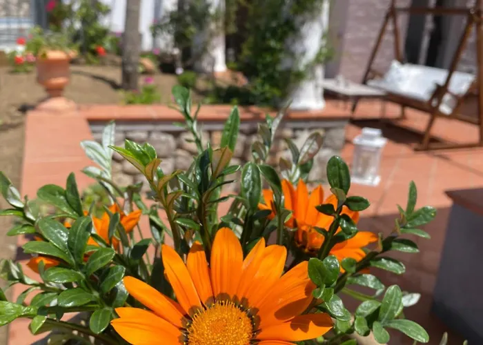 La Ciammurrella Bed & Breakfast 4*