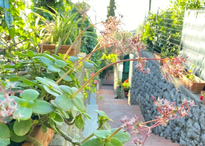 Bed & Breakfast La Ciammurrella 4*